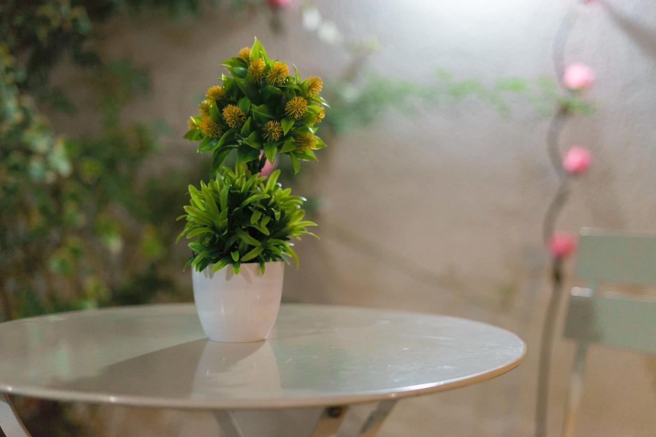 Hostal La Terraza Rancagua Zewnętrze zdjęcie